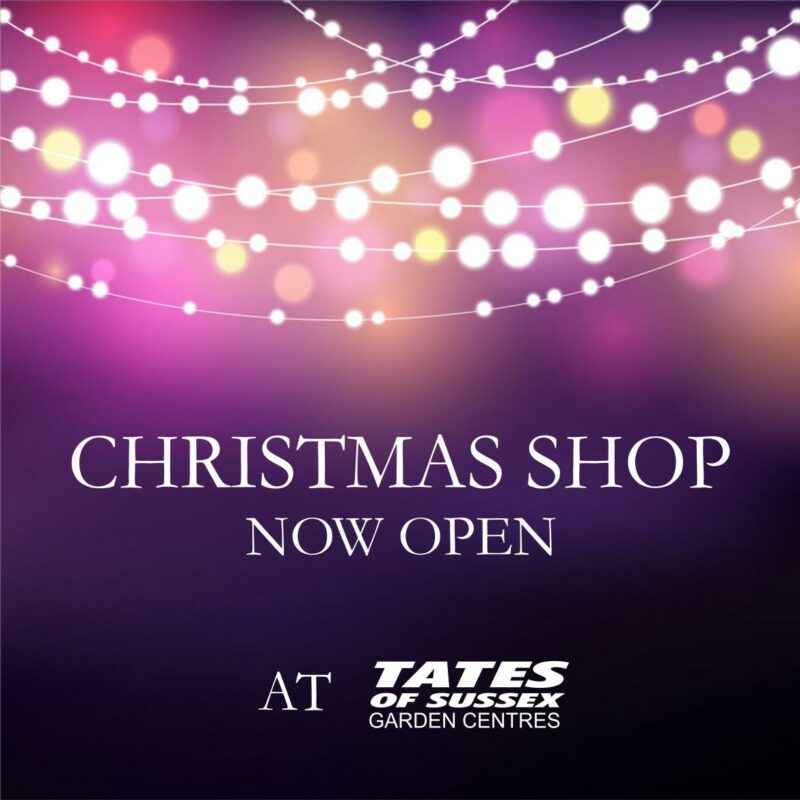 4115-Christmas-Shop-Open